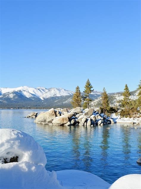 The Magnificent Wildlife of Lake Tahoe: A Nature Lover's Paradise